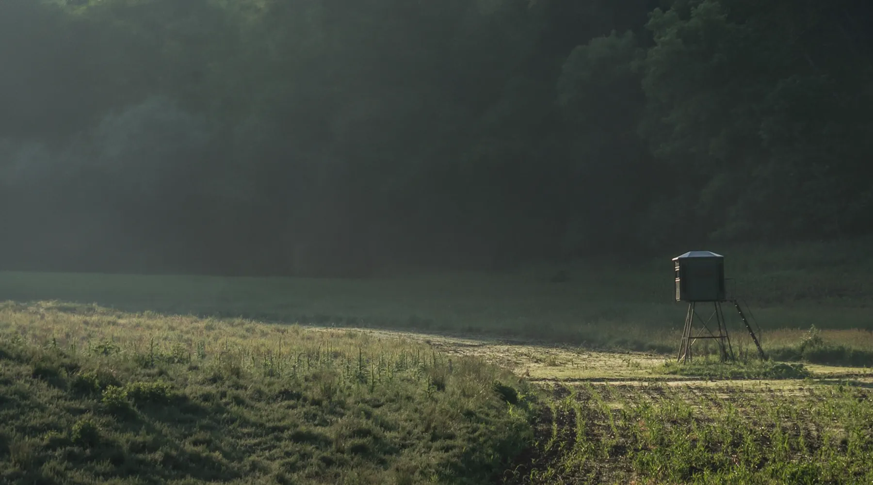 Superior Blinds for Serious Hunters